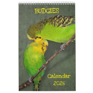 Calendrier des Budgies