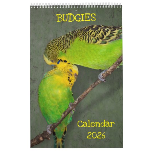 Calendrier des Budgies (Protection)