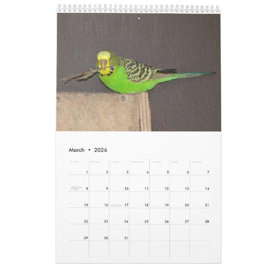 Calendrier des Budgies (Mar 2026)