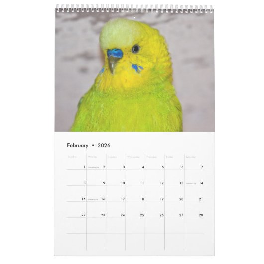 Calendrier des Budgies (Feb 2026)