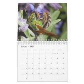 Calendrier des Bugs et Fleurs (Jan 2027)