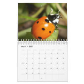 Calendrier des Bugs et Fleurs (Mar 2027)