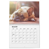 Calendrier des Bulldog français (Mar 2026)