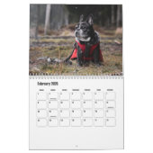 Calendrier des Bulldog français (Feb 2026)