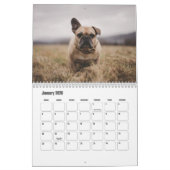 Calendrier des Bulldog français (Jan 2026)