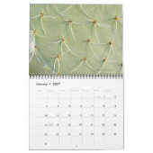 Calendrier des cactus et des fleurs succulentes 20 (Jan 2027)