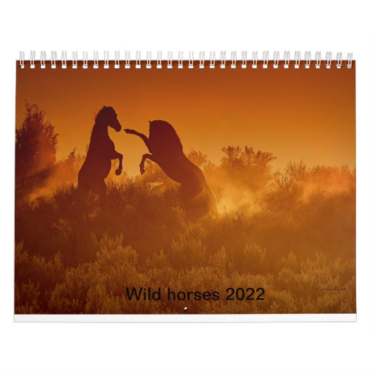 calendrier des calandres de mustang sauvage 2020 (Protection)