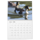 Calendrier des Canards 2016 (Mar 2026)