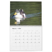 Calendrier des Canards 2016 (Feb 2026)