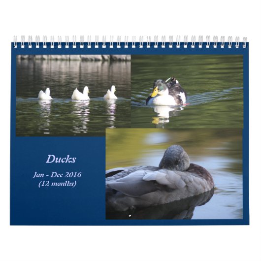 Calendrier des Canards 2016 (Protection)