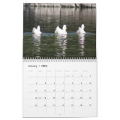 Calendrier des Canards 2016 (Jan 2026)
