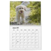 Calendrier des canicules (Jan 2027)