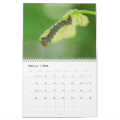Calendrier des Caterpiliers (Feb 2026)
