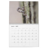 Calendrier des Caterpiliers (Mar 2027)