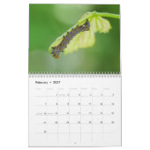 Calendrier des Caterpiliers (Feb 2027)