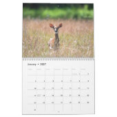 Calendrier des cerfs (Jan 2027)