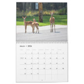 Calendrier des cerfs (Mar 2026)