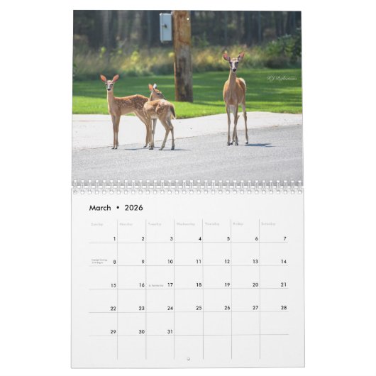 Calendrier des cerfs (Mar 2026)