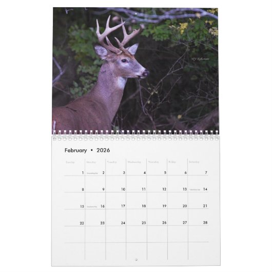 Calendrier des cerfs (Feb 2026)