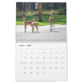 Calendrier des cerfs (Mar 2027)