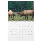calendrier des cerfs 2023 (Mar 2027)