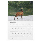 calendrier des cerfs 2023 (Jan 2027)