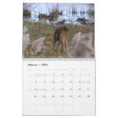 Calendrier des cerfs blancs (Feb 2026)