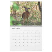 Calendrier des cerfs blancs (Mar 2027)
