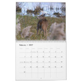 Calendrier des cerfs blancs (Feb 2027)
