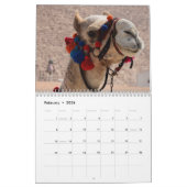 Calendrier des chameaux (Feb 2026)