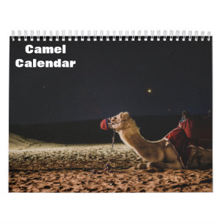 Calendrier des chameaux
