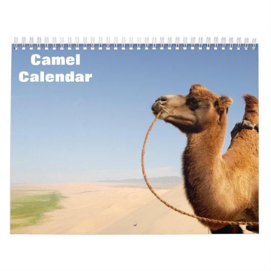 Calendrier des chameaux (Protection)