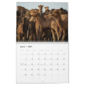 Calendrier des chameaux (Mar 2027)