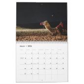 Calendrier des chameaux 2025 (Mar 2026)