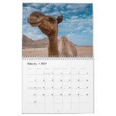 Calendrier des chameaux 2025 (Feb 2027)