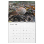 Calendrier des champignons (Jan 2027)