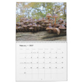 Calendrier des champignons (Feb 2027)