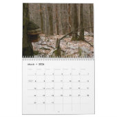 Calendrier des champignons (Mar 2026)