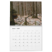 Calendrier des champignons (Mar 2027)