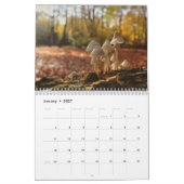 Calendrier des champignons (Jan 2027)