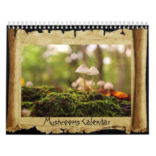 Calendrier des champignons