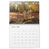 Calendrier des champignons (Jan 2026)