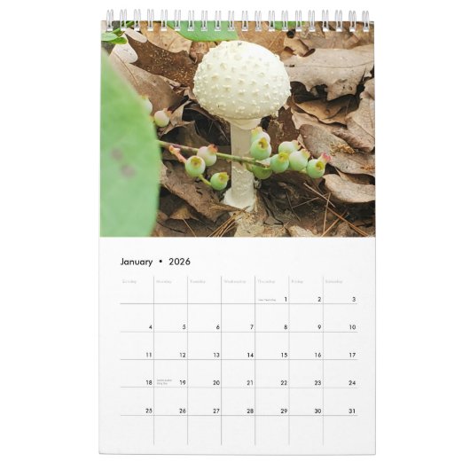 Calendrier des champignons 2026 (Jan 2026)