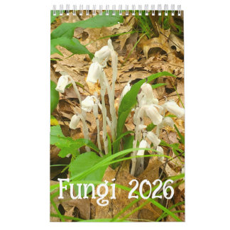 Calendrier des champignons 2026