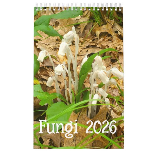 Calendrier des champignons 2026 (Protection)