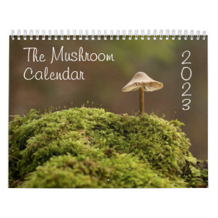 Calendrier des champignons pour 2023 Belles photos