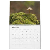 Calendrier des champignons pour 2024 Belles photos (Mar 2026)