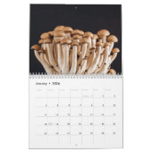 Calendrier des champignons pour 2025 Belles photos (Jan 2026)