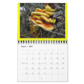 Calendrier des champignons Rainbow 2013 (Mar 2027)