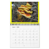 Calendrier des champignons Rainbow 2013 (Mar 2026)